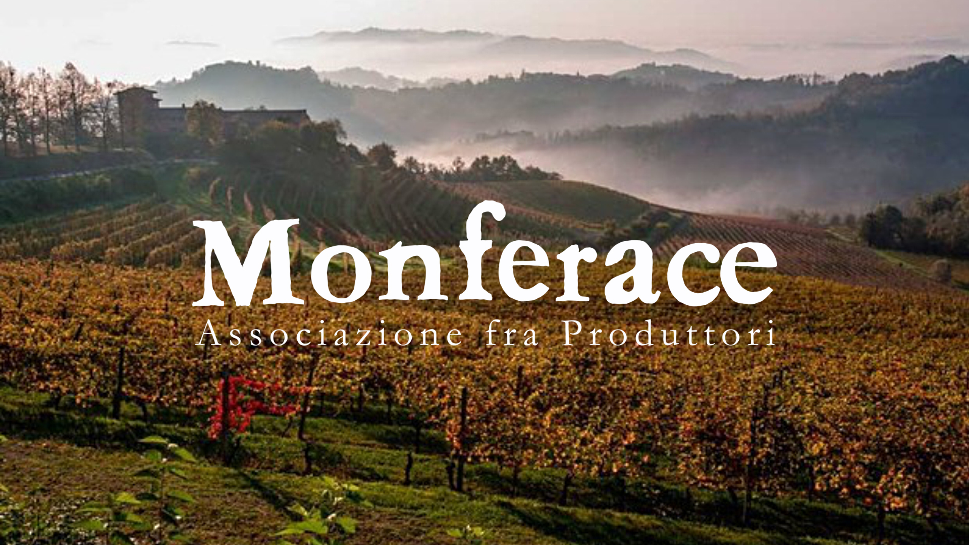 Alemat Societa' Semplice Agricola — foto 2